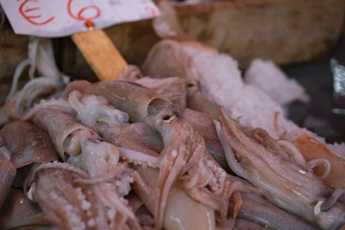 a pile of meat sitting on top of a pile of ice